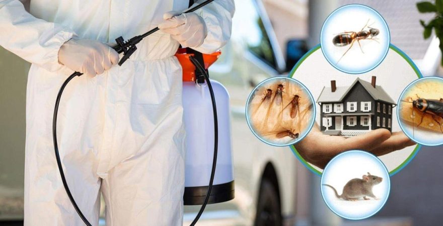 Tomarza Böcek İlaçlama