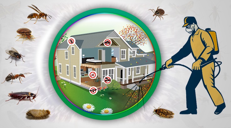 Tomarza Böcek İlaçlama