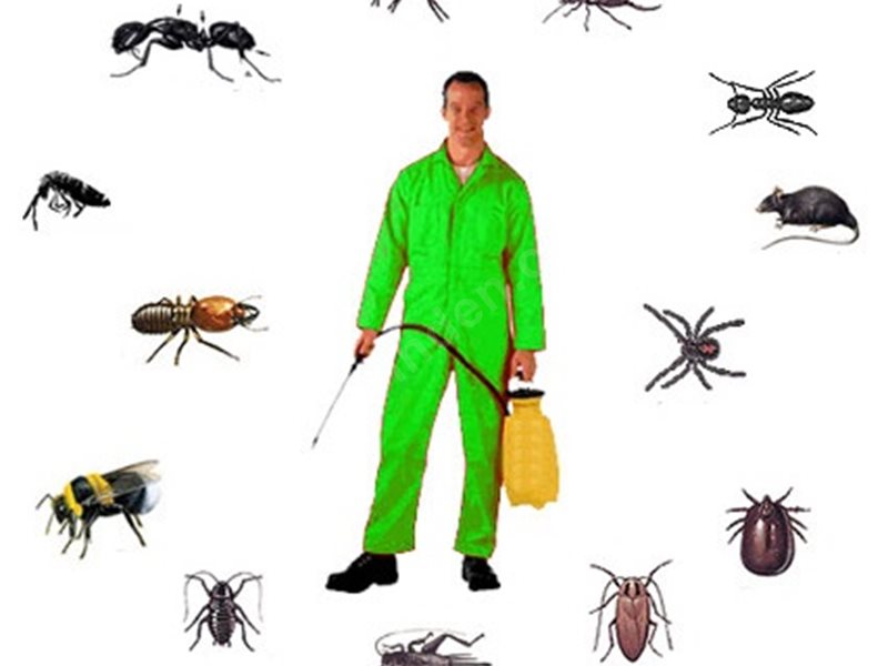 Tomarza Böcek İlaçlama